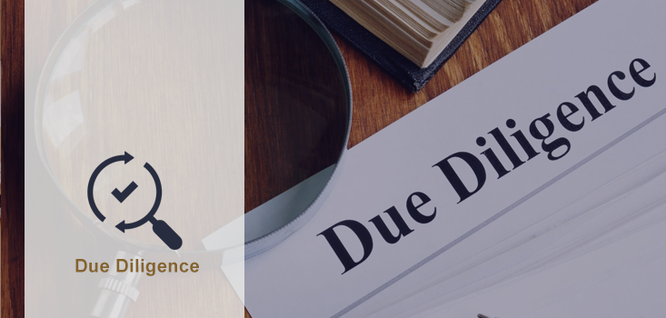 Due Diligence