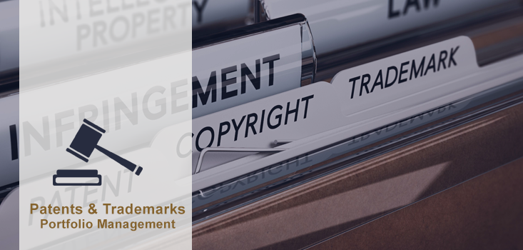 Patents & Trademarks Portfolio Management